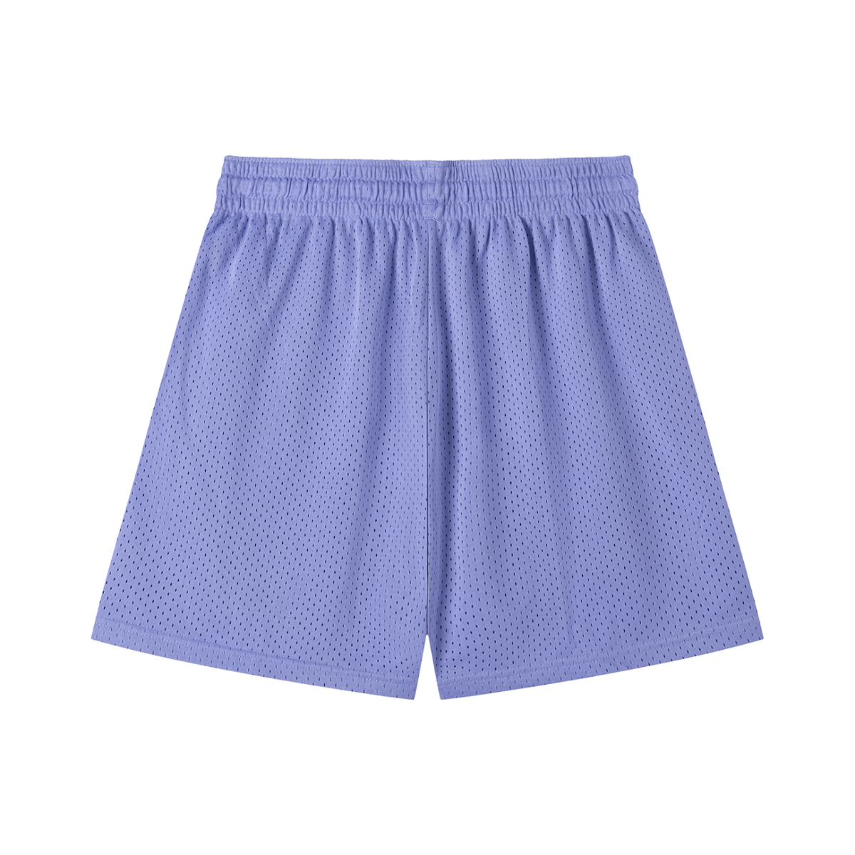 Mesh Training Shorts in Purple, back