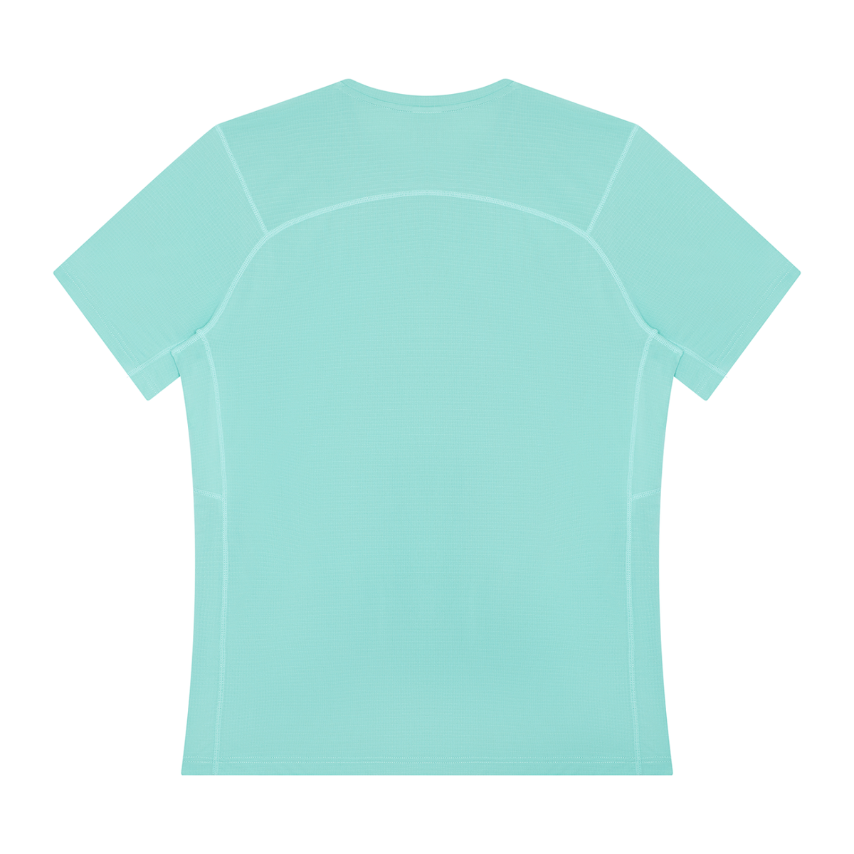 Men's Performance Running Tee in Lake Blue, back
