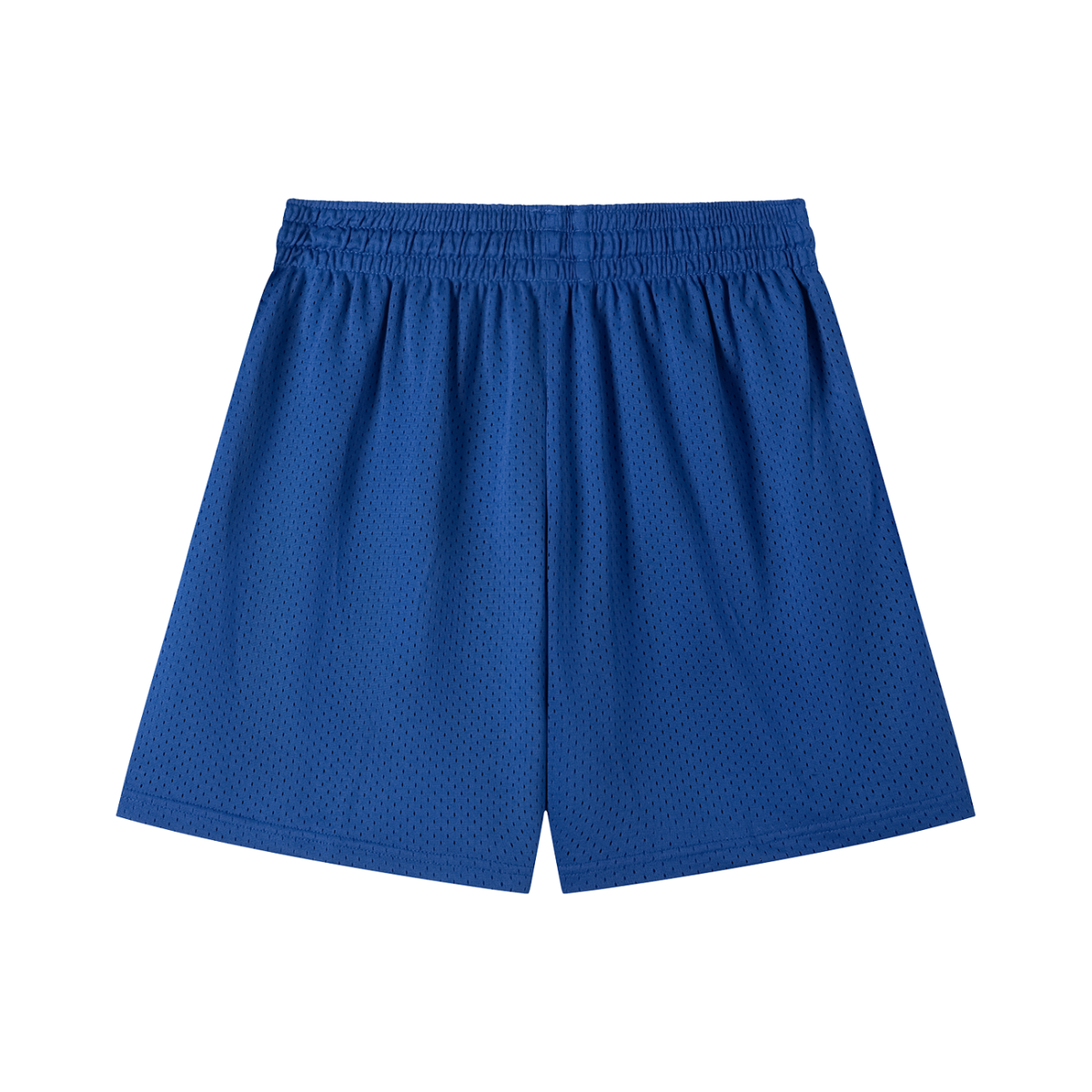 Mesh Training Shorts in Bright Blue, back