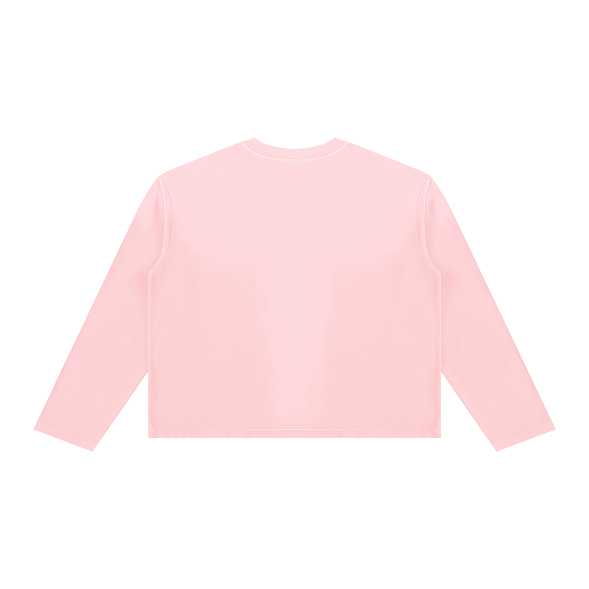 Sunfade Long Sleeve Tee in Pink, back
