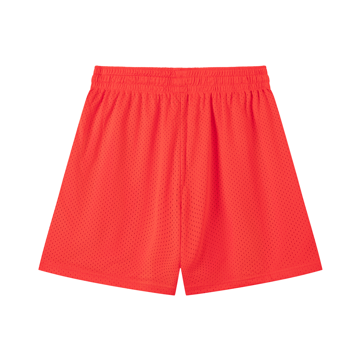 Mesh Training Shorts in Orange, back