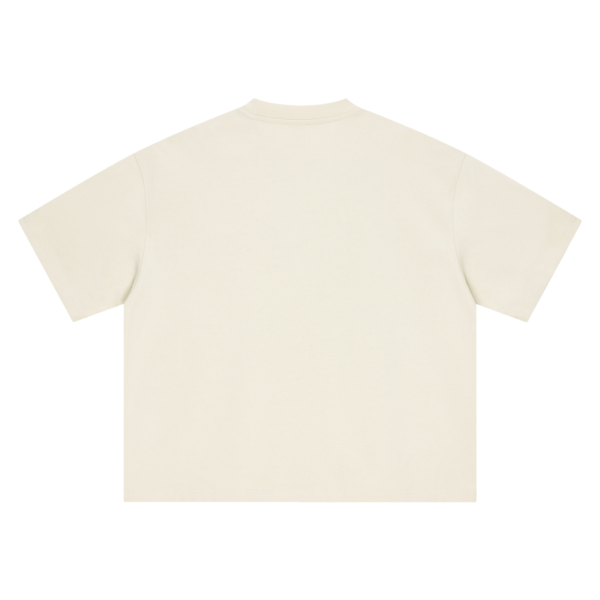 Boxy Heavyweight Tee in Mild Apricot, back