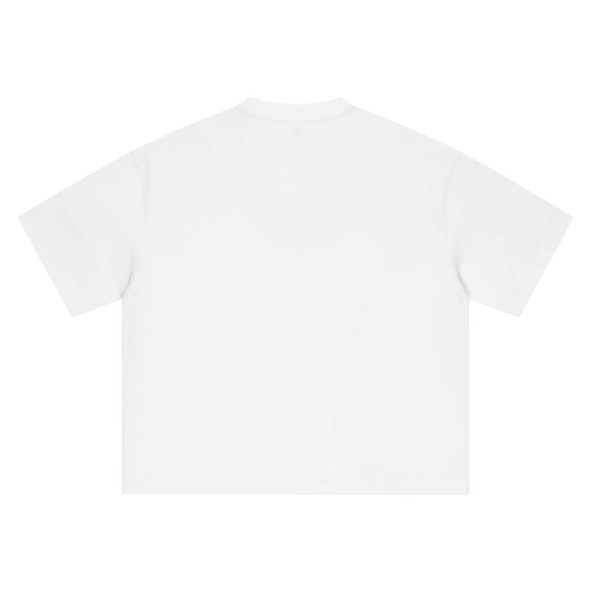 Boxy Heavyweight Tee in White, back