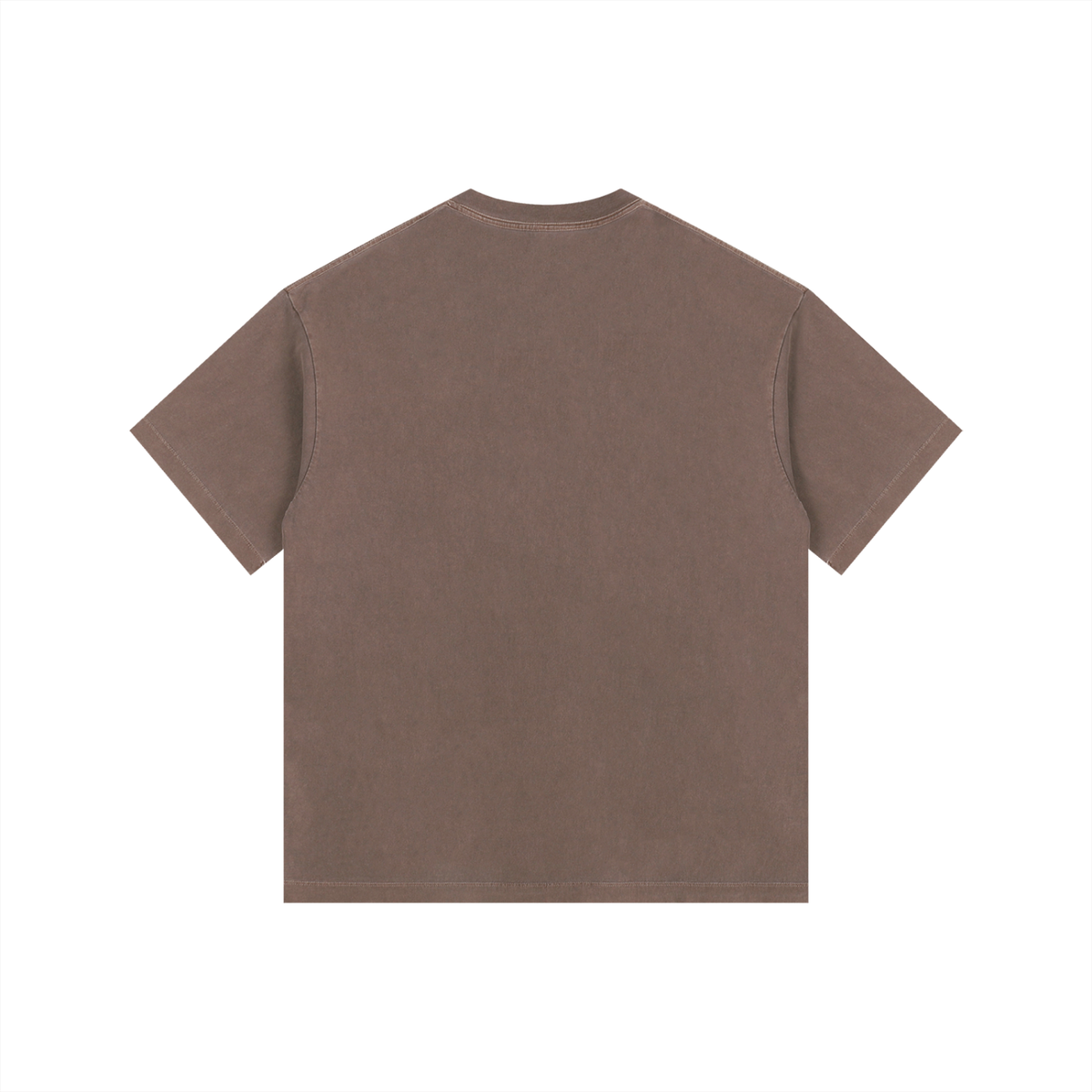 Vintage Wash Oversized Tee in Coffee, back